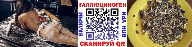 Псилоцибиновые грибы Psilocybine cubensis  Духовщина 